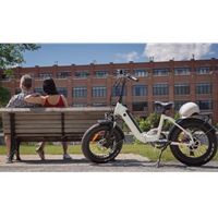Stylish Affordable Folding Long-Range eBike Electric Commuter Bike | Moose