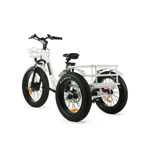 Electric Cargo Trike with Fat Tire 500W Brushless Motor, 48V Battery for Home Small Cargo Use | T4B trike